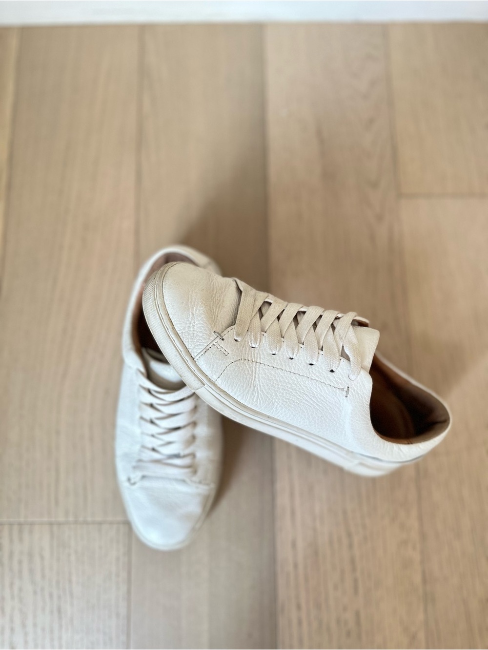 Frye Leather Sneakers Size 6